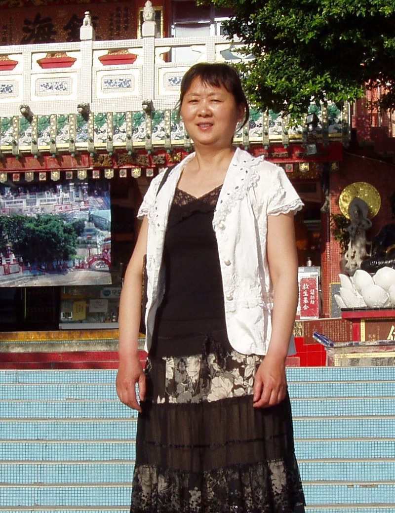Zhu Ying, Henan