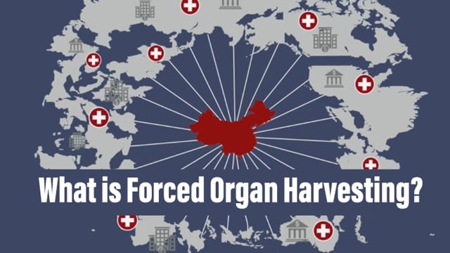 ETAC: What is Forced Organ Harvesting? Explainer - UPDATED